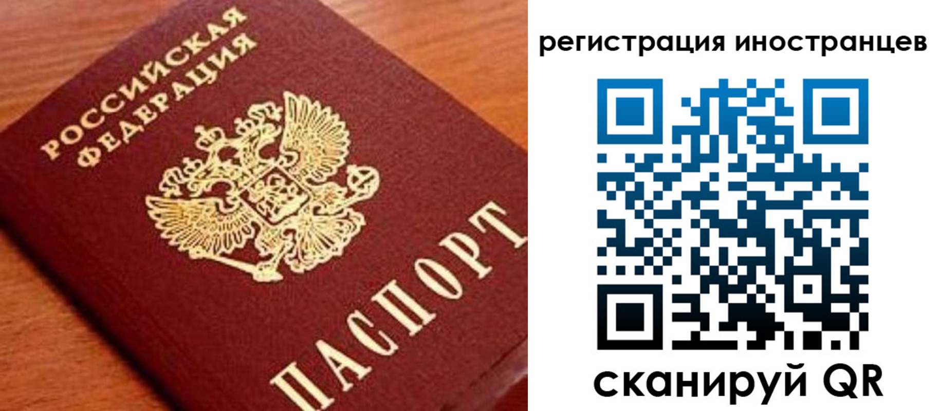 временная регистрация поиск в Белой Калитве